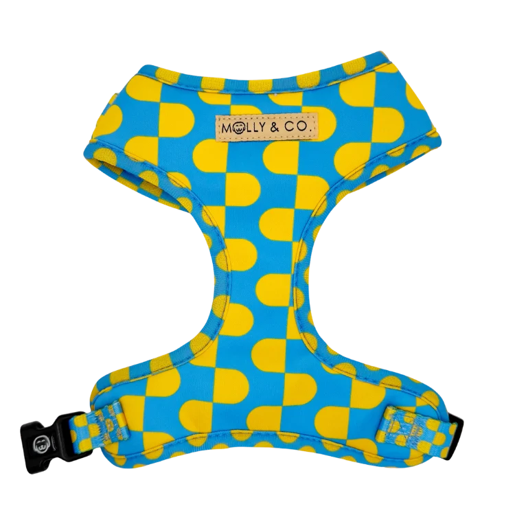 Molly and Co. Sunrise - Adjustable Dog Harness