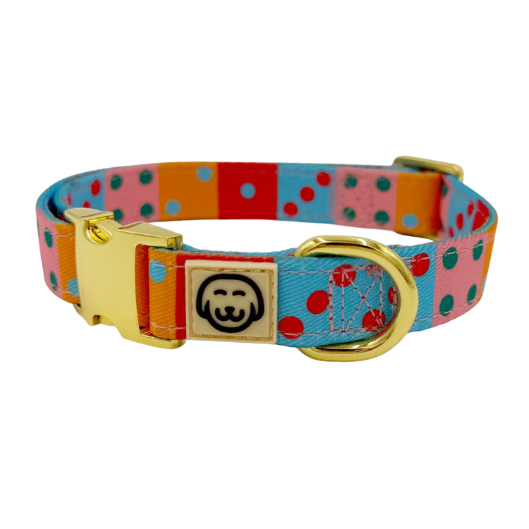 Doble Seis - Dog Collar