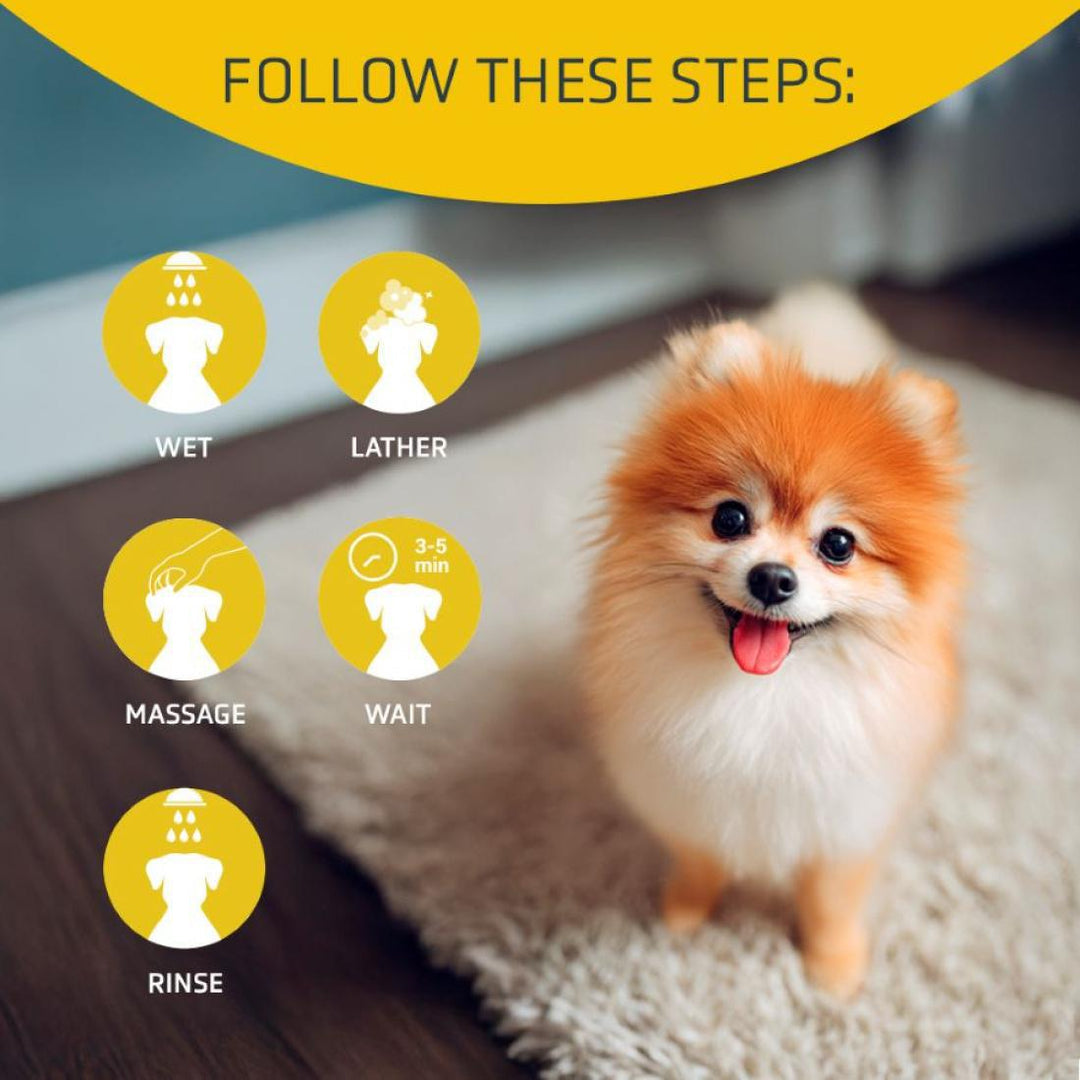 ARTERO BLOOM ARGAN SHAMPOO