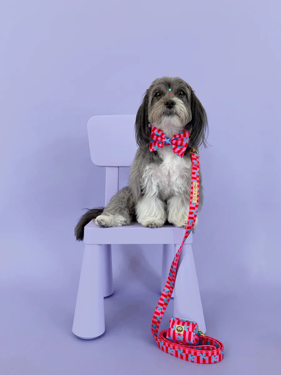 Molly & Co. Supernova - Dog Poop Bag Holder