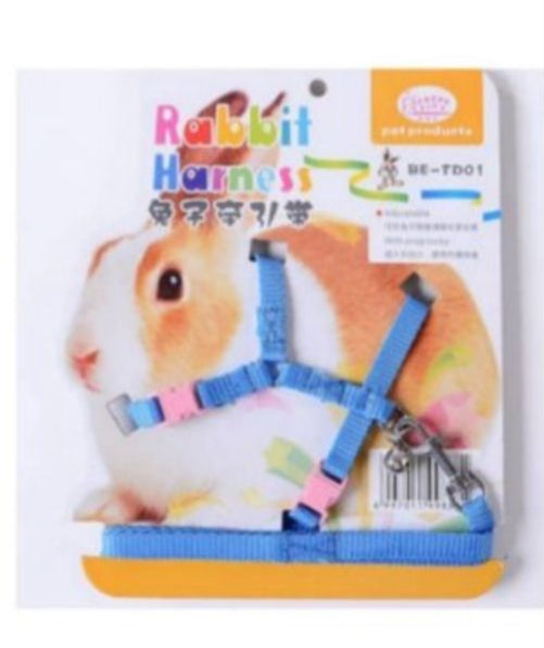 Rabbit Leash & Harness