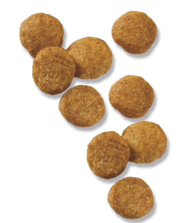 Fórmula de Pro Plan para cachorros sabor cordero y arroz - Mascotito PR