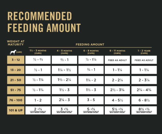 Fórmula de Pro Plan para cachorros sabor cordero y arroz - Mascotito PR