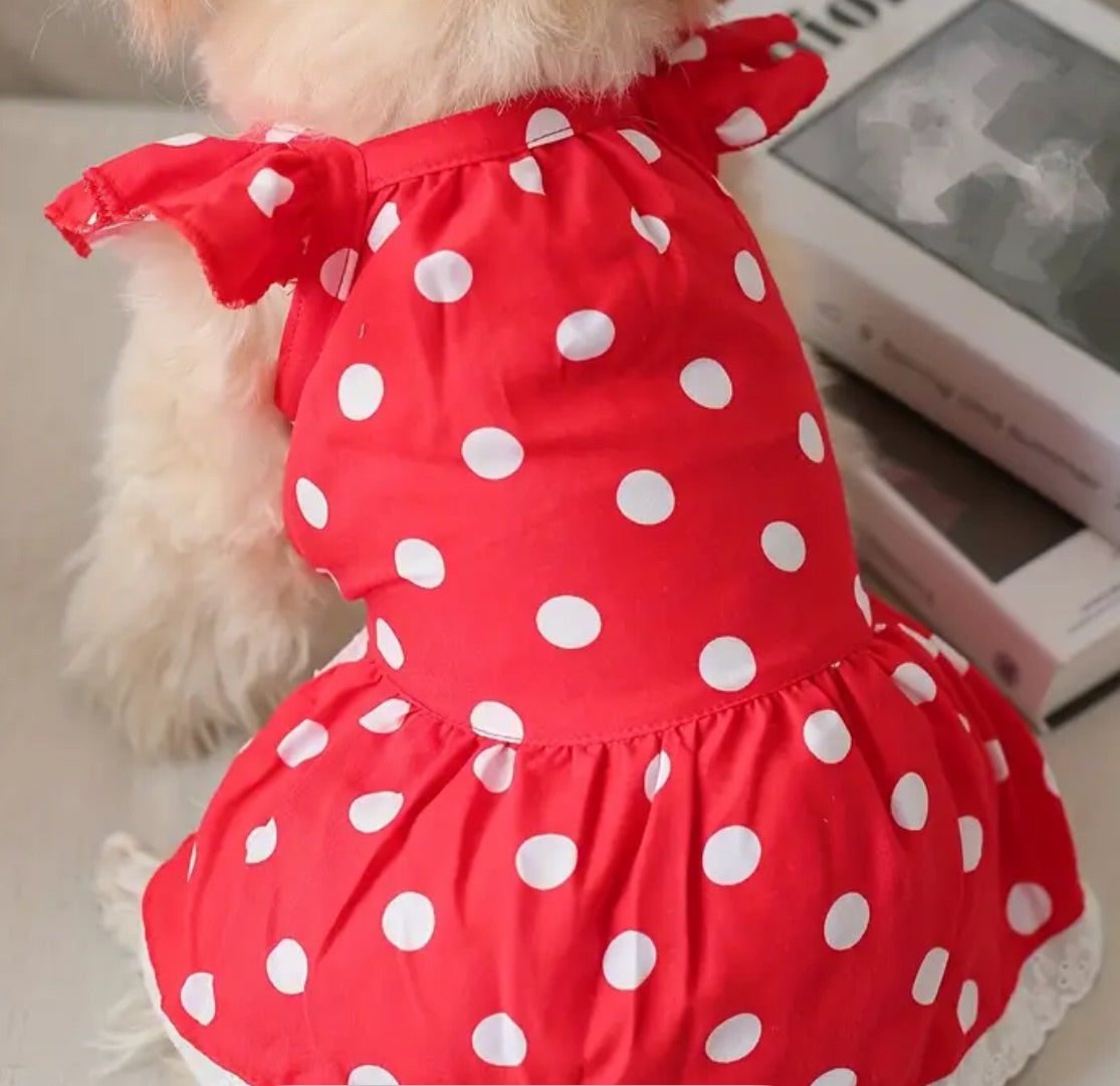 Red dress with large dots for dogs