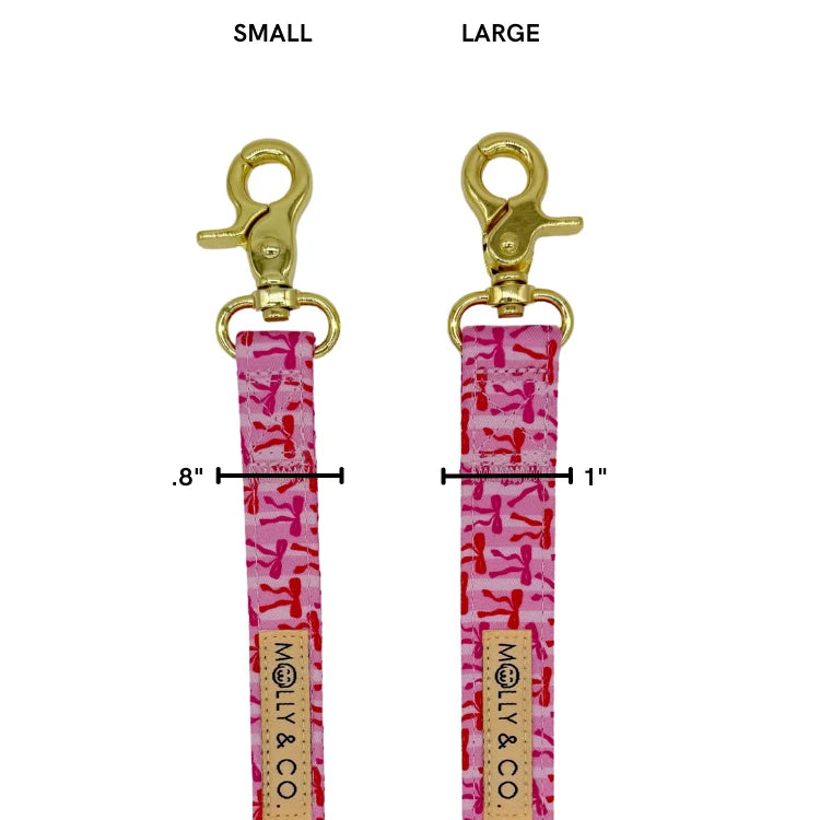 Molly & Co. Coquette- Leash