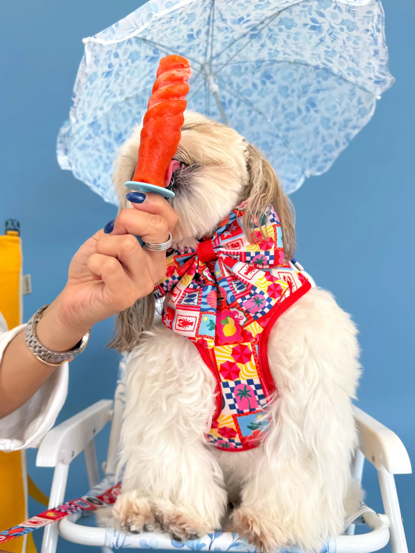Molly & Co. Amalfi - Adjustable Dog Harness