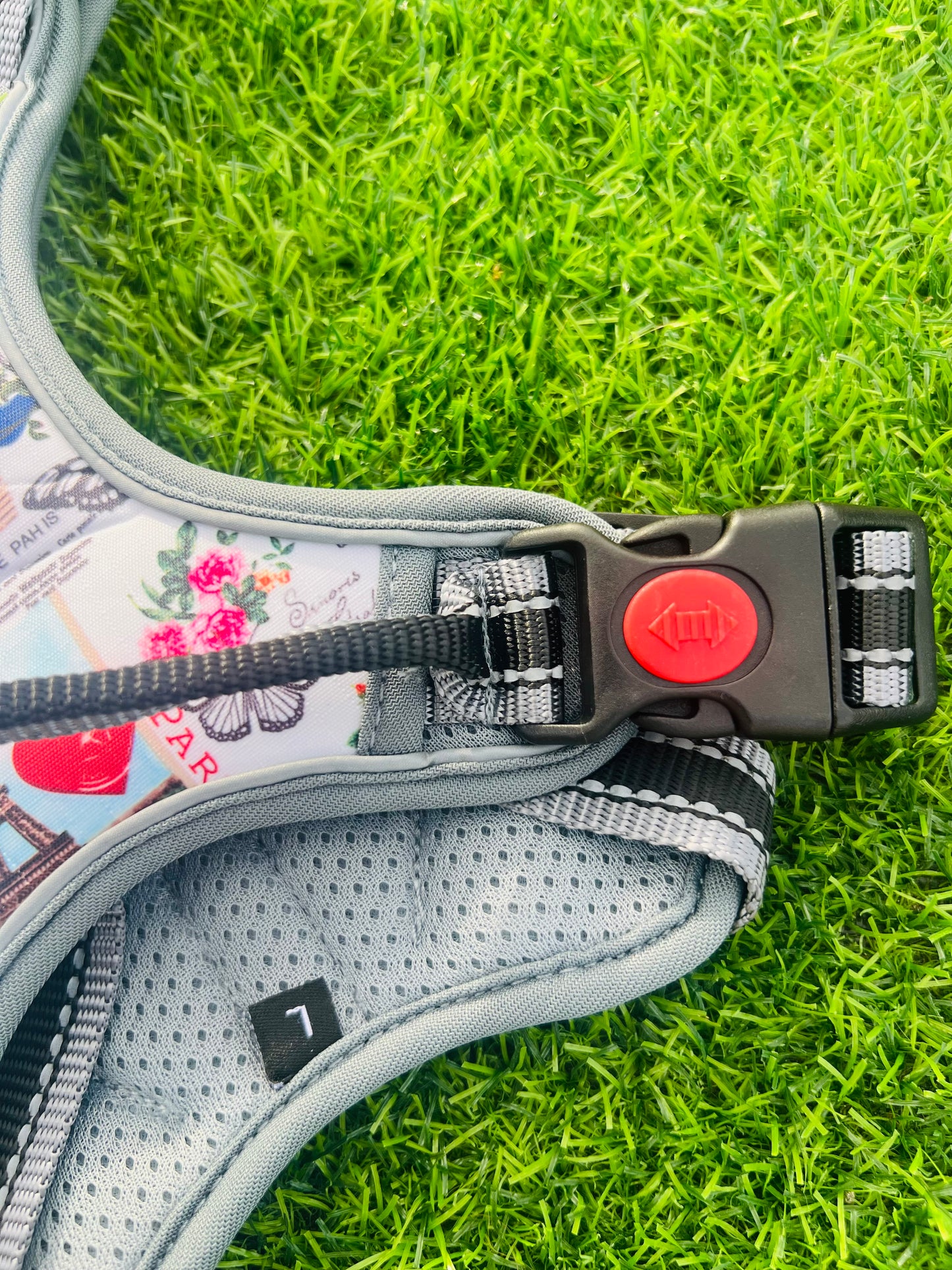 I Love Paris- Harness and Leash YABEIBI - Mascotito PR