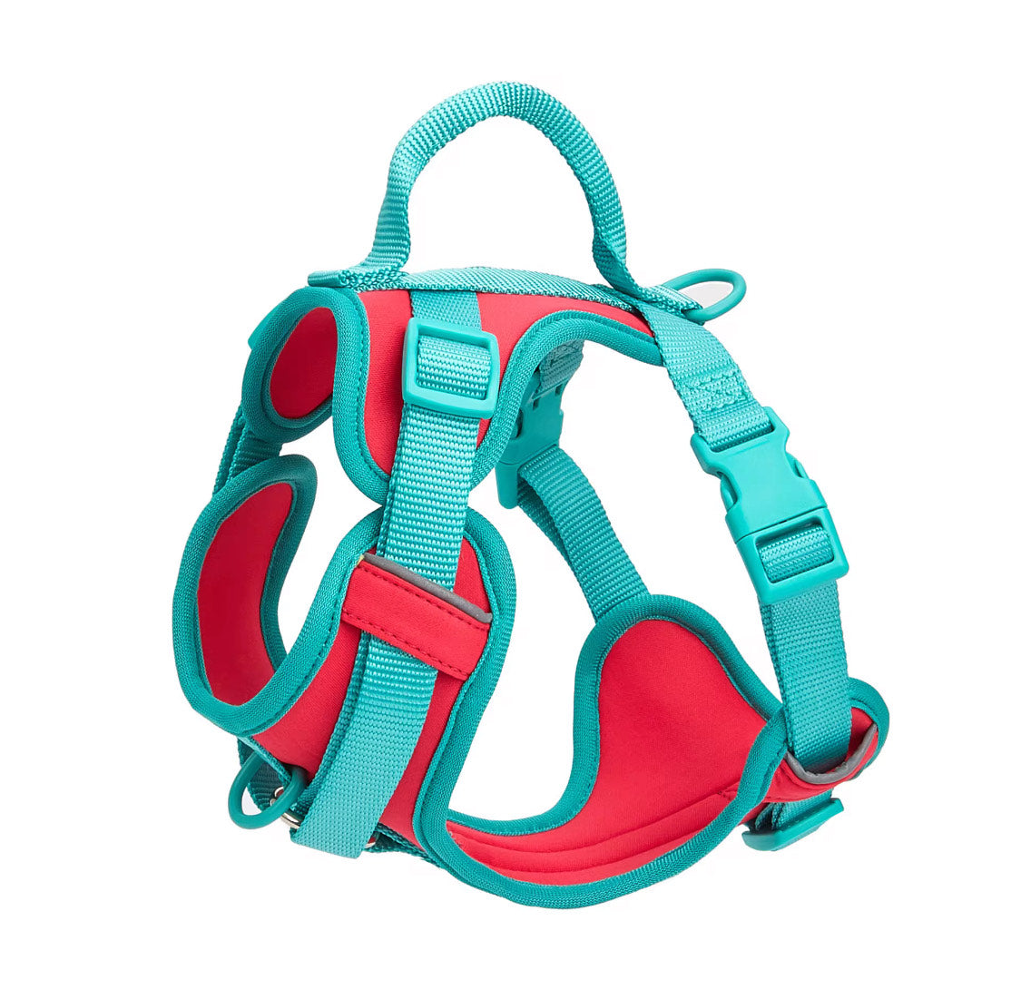 Female Chic Harness for dogs