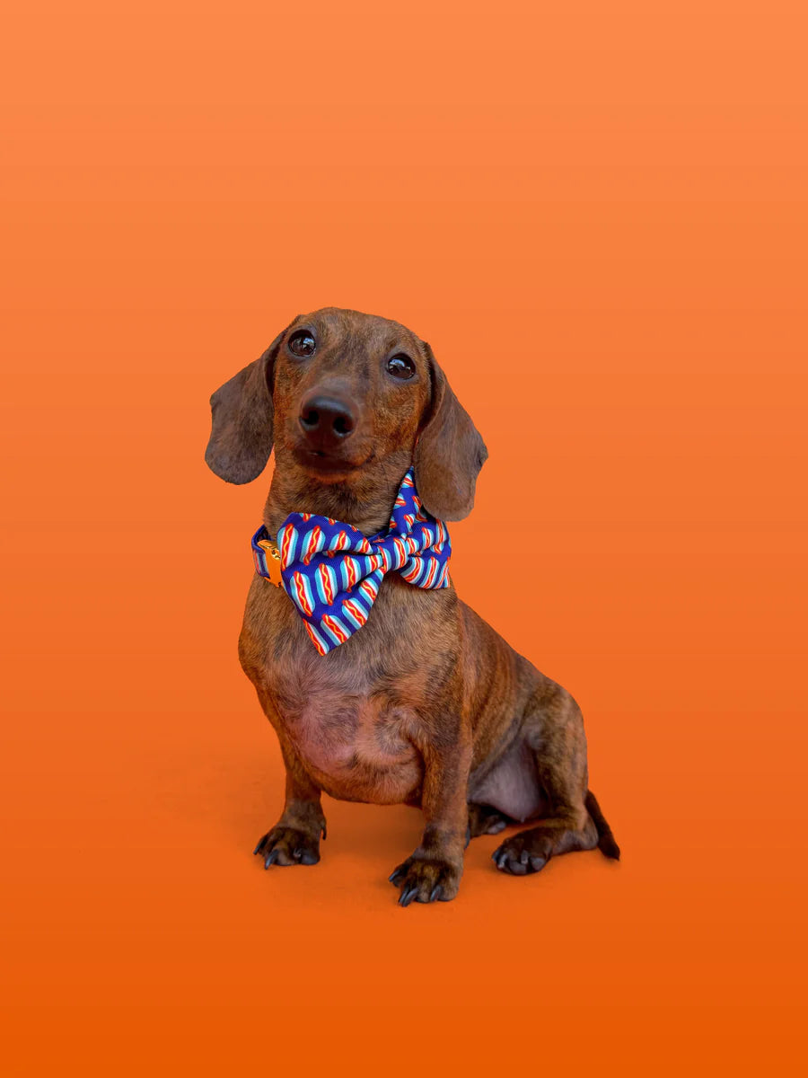 Molly & Co. Wieners - Dog Bowtie