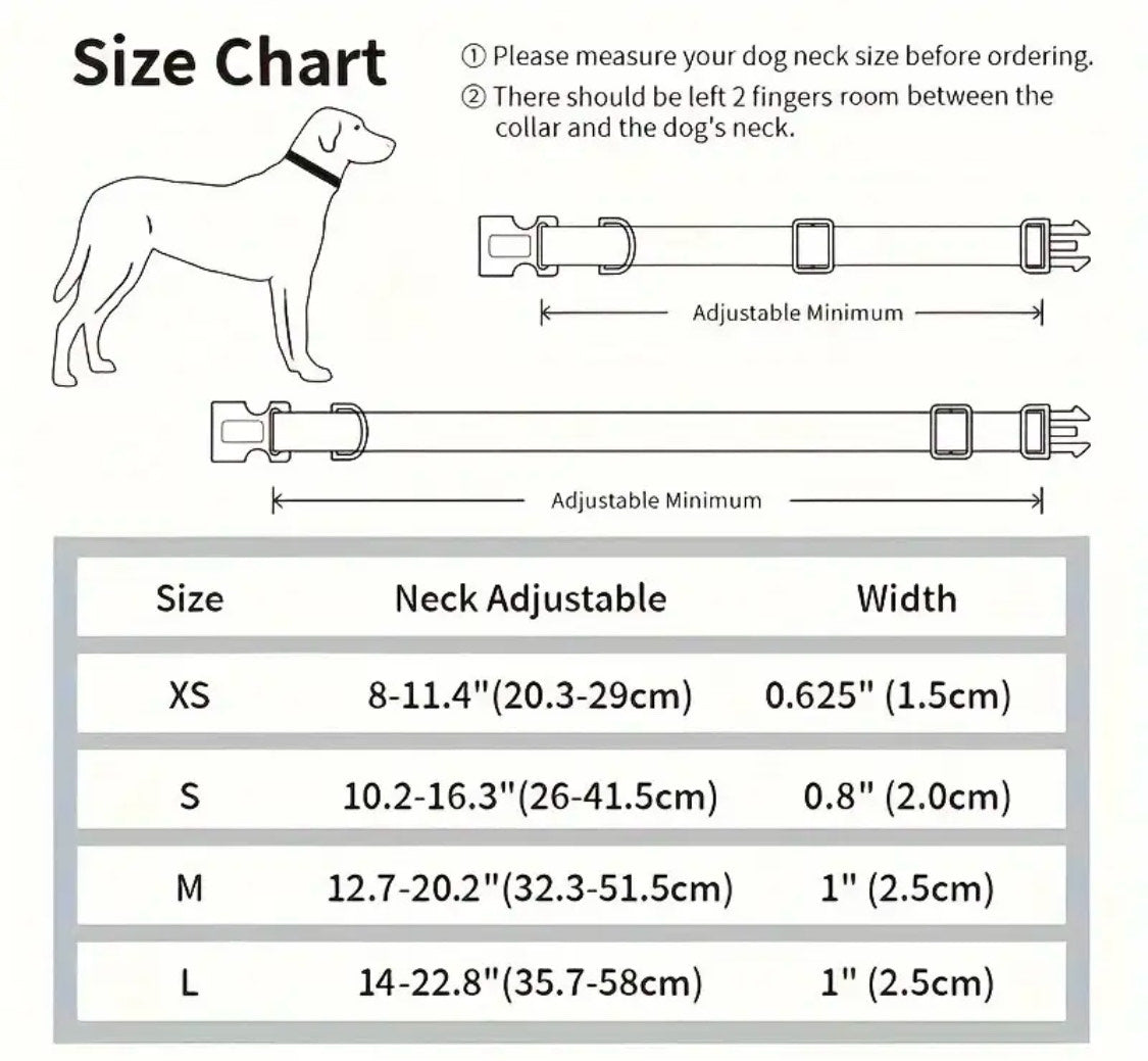 Love in the Dark Collar - Mascotito PR