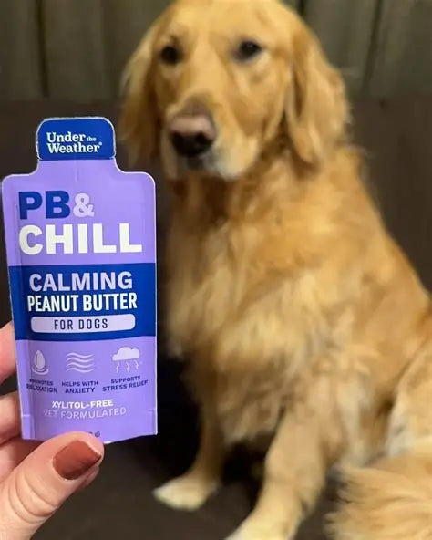 UNDER THE WEATHER PB&CHILL CALMING PEANUT BUTTER FOR DOGS