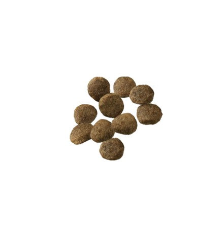 Alimento seco con probióticos para cachorros de razas grandes con piel y estómago sensibles Pro Plan de salmón y arroz - Mascotito PR