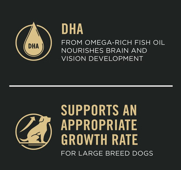 Alimento seco con probióticos para cachorros de razas grandes con piel y estómago sensibles Pro Plan de salmón y arroz - Mascotito PR