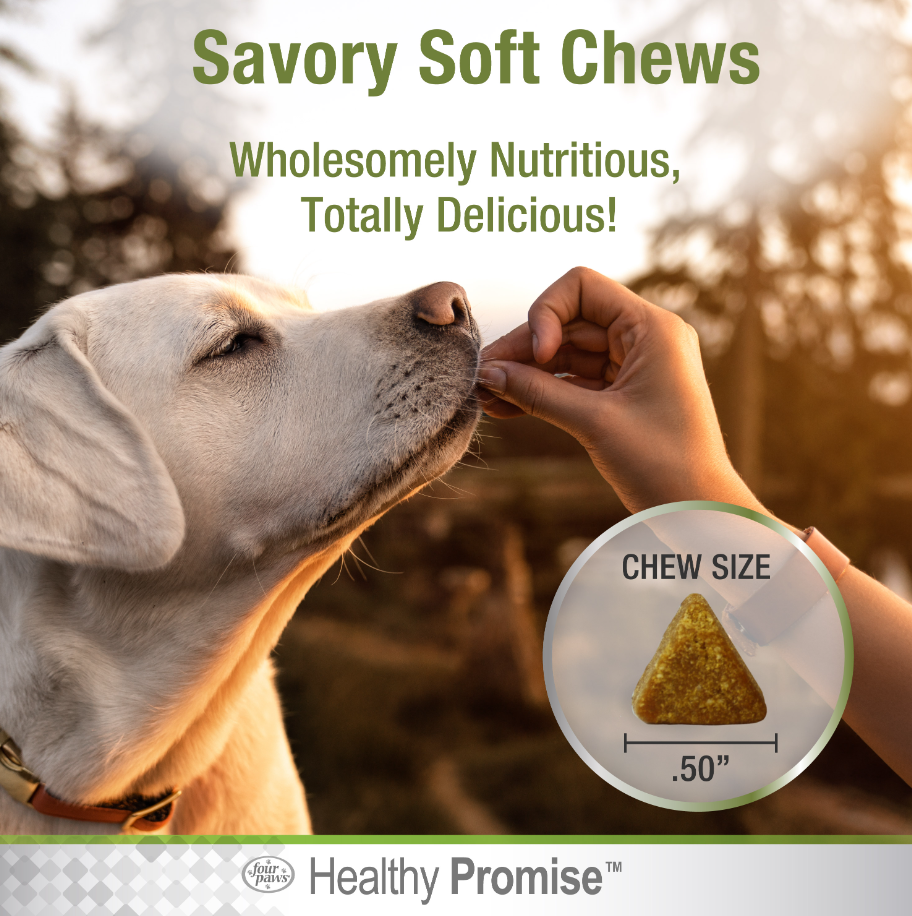 Dog Multi-Vitamin Supplements Healthy Promise™ - Mascotito PR