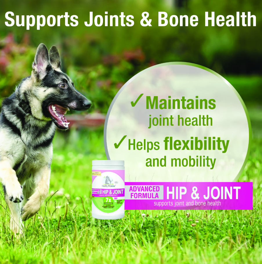 Advanced Formula Hip & Joint Supplements For Dogs Healthy Promise™ - Mascotito PR