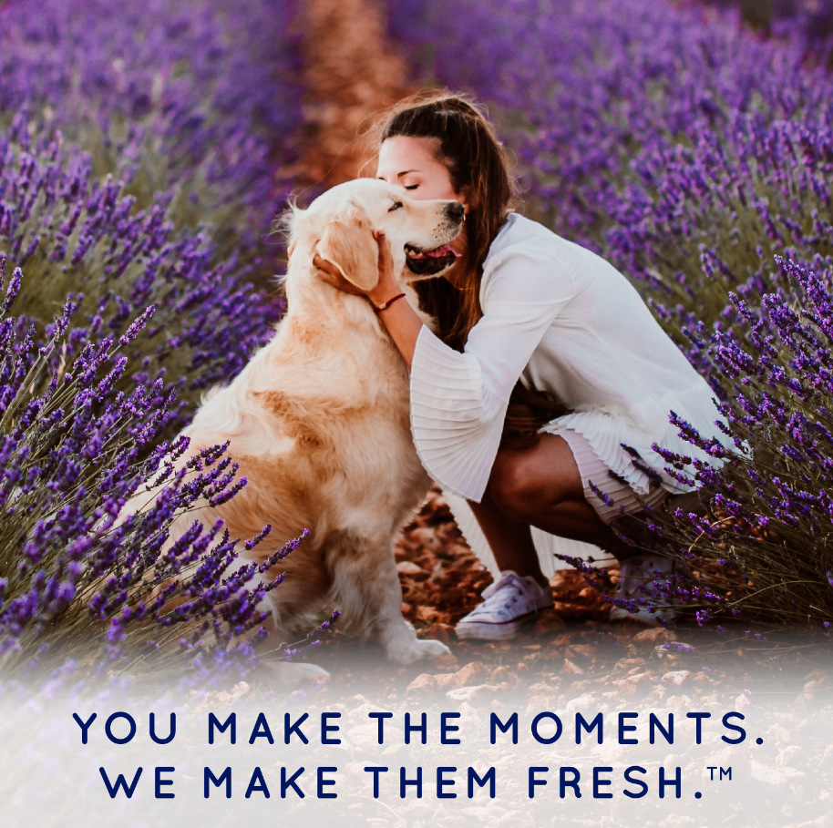 Nourish Conditioner for Pets - Mascotito PR