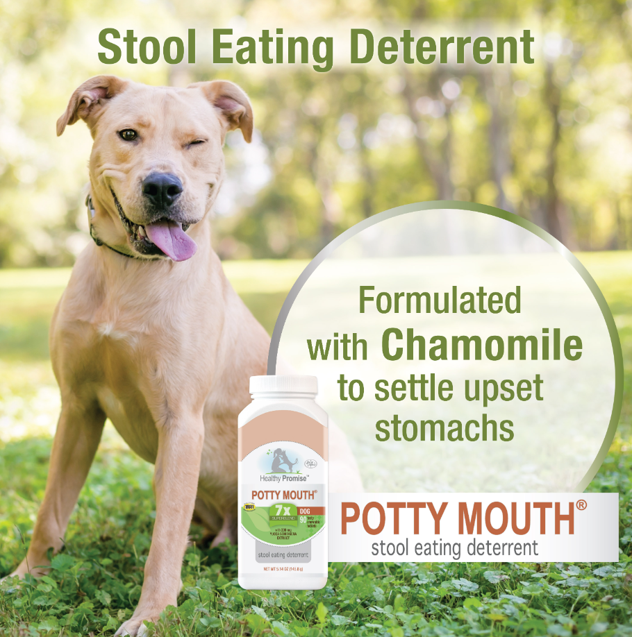 Healthy Promise™ Potty Mouth Coprophagia Supplements For Dogs - Mascotito PR