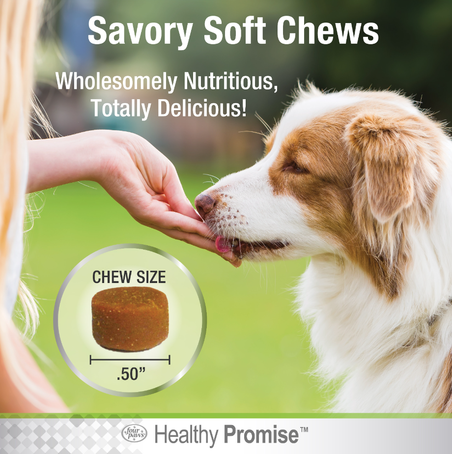 Healthy Promise® Pre & Probiotics For Dogs - Mascotito PR