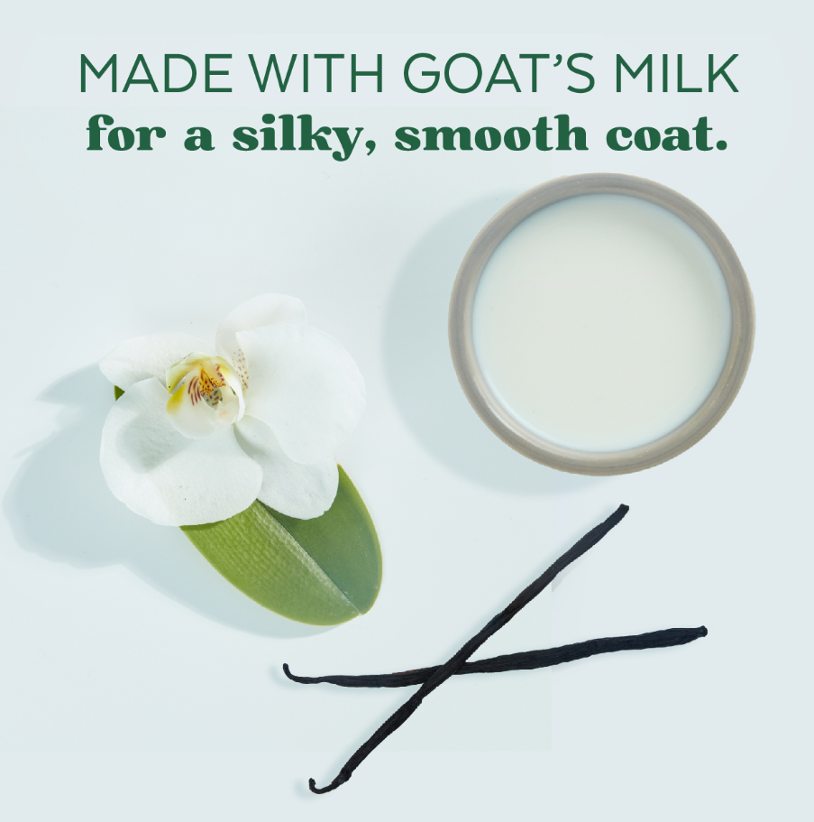 Goat’s Milk Hypoallergenic Shampoo for Dogs, Puppies and Cats - Mascotito PR