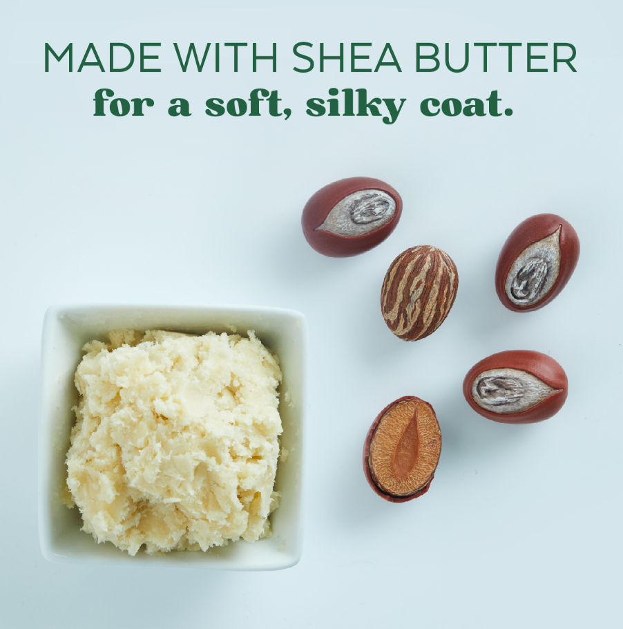 Shea Butter Soothing Shampoo for Dogs, Puppies & Cats - Mascotito PR