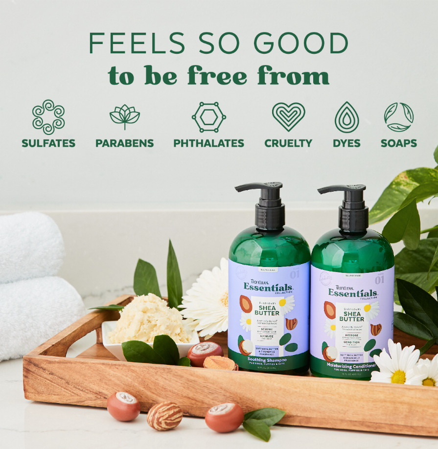 Shea Butter Soothing Shampoo for Dogs, Puppies & Cats - Mascotito PR