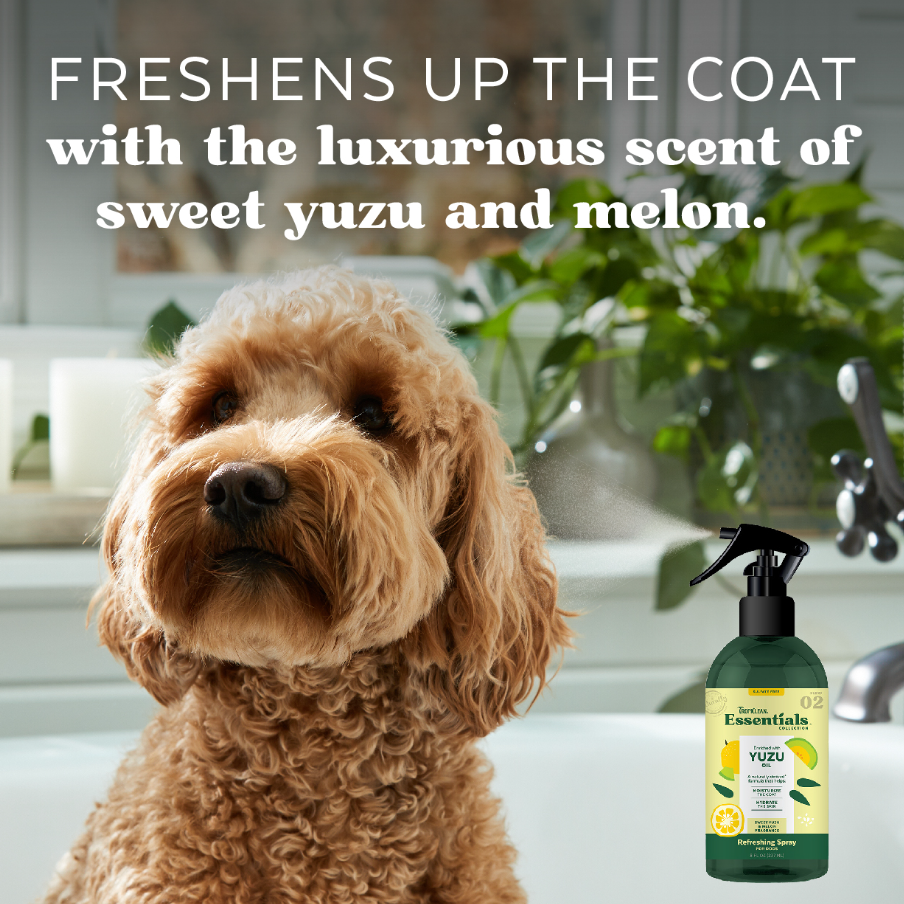 Yuzu Oil Refreshing Spray for Dogs - Mascotito PR