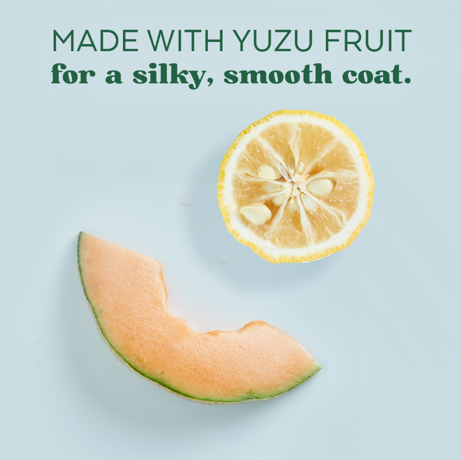 Yuzu Oil Refreshing Spray for Dogs - Mascotito PR
