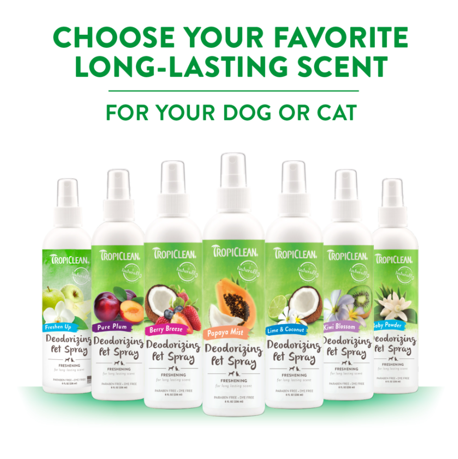 Lime & Coconut Deodorizing Pet Spray - Mascotito PR