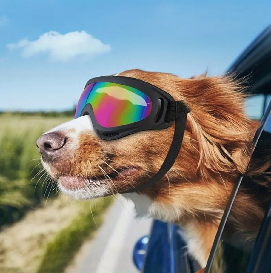 Gafas para Perro (Protectoras) - Mascotito PR
