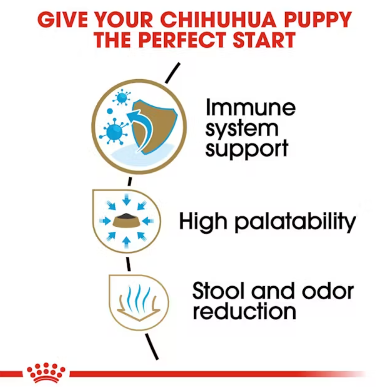 Chihuahua Puppy Dry Dog Food
