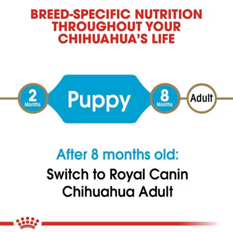 Chihuahua Puppy Dry Dog Food