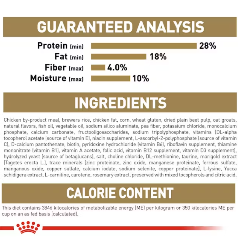 Chihuahua Puppy Dry Dog Food
