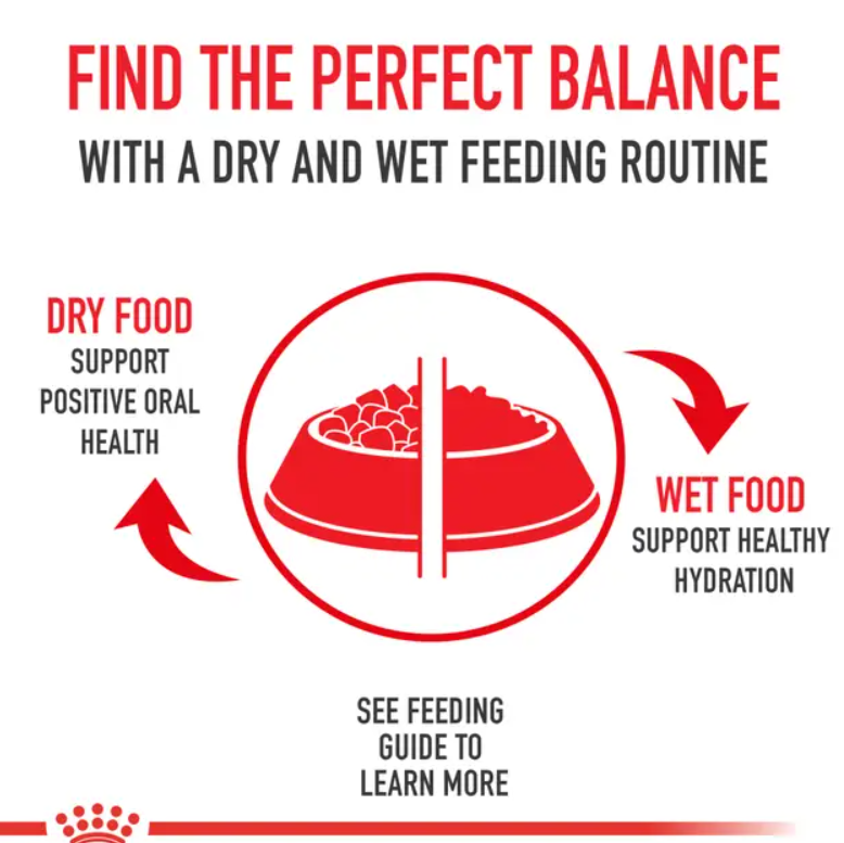 ROYAL CANIN Chihuahua Puppy Dry Dog Food