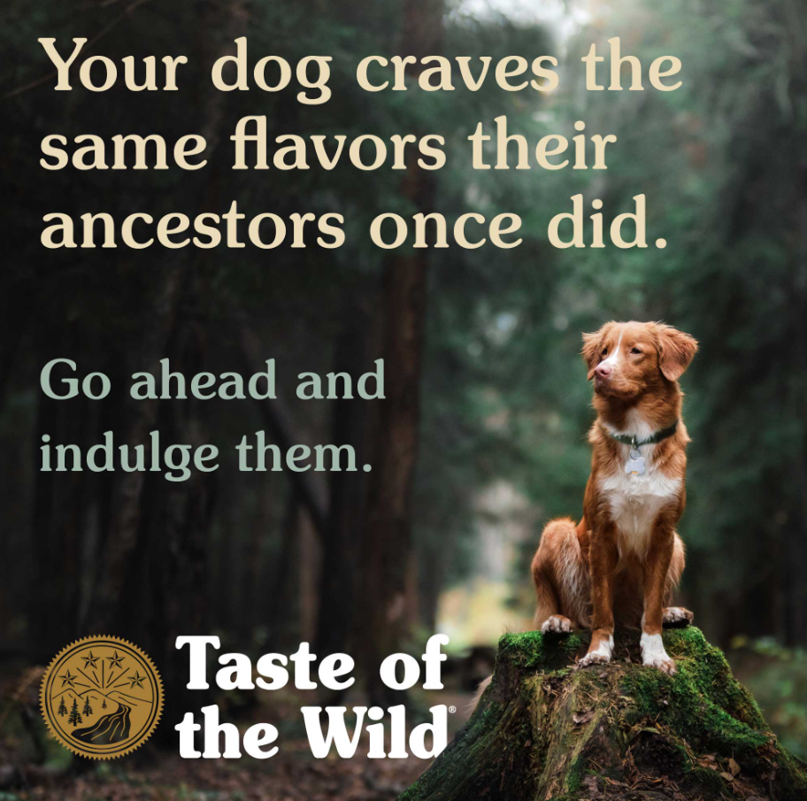 High Prairie Canine Recipe with Roasted Bison & Roasted Venison