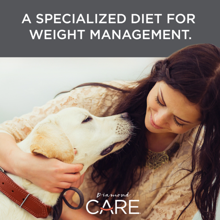 WEIGHT MANAGEMENT FORMULA FOR ADULT DOGS 8lbs