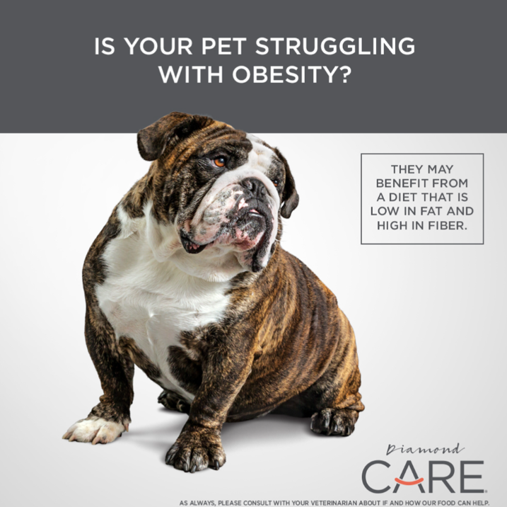 WEIGHT MANAGEMENT FORMULA FOR ADULT DOGS 8lbs