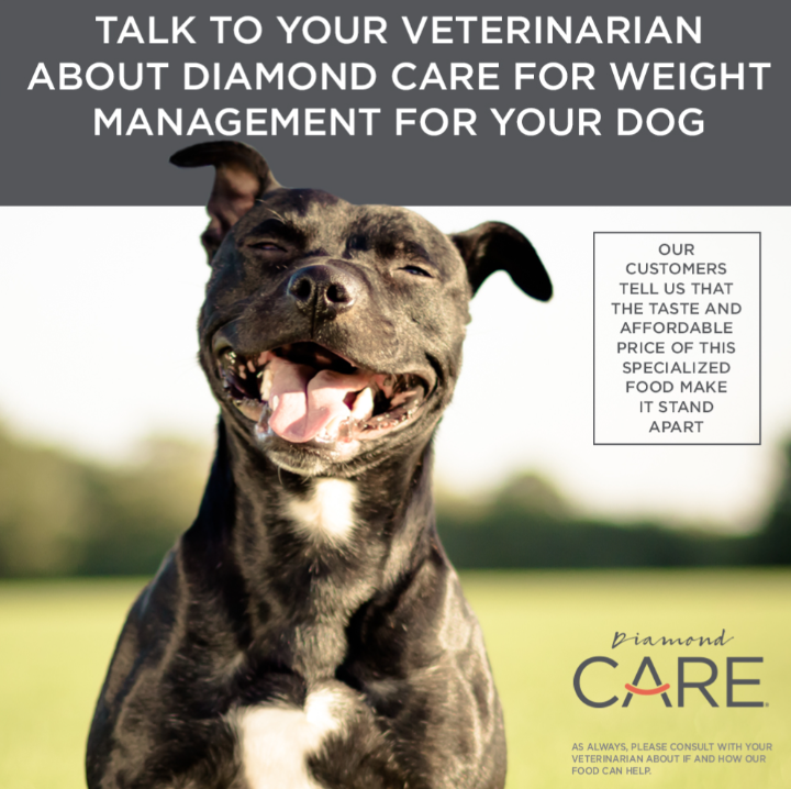 WEIGHT MANAGEMENT FORMULA FOR ADULT DOGS 8lbs