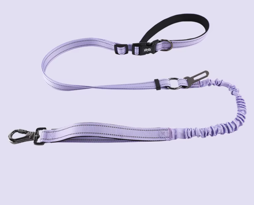 Lavender Lilac Retractable Leash 6 en 1 Sport