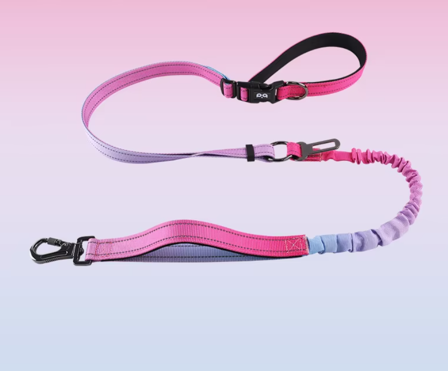 Love Potion Retractable Leash 6 en 1 Sport