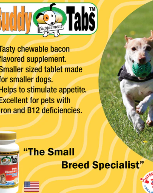 Buddy Tabs Iron + Vitamin B12 (60 Tabs)