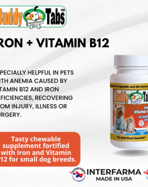 Buddy Tabs Iron + Vitamin B12 (60 Tabs)