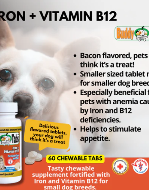 Buddy Tabs Iron + Vitamin B12 (60 Tabs)