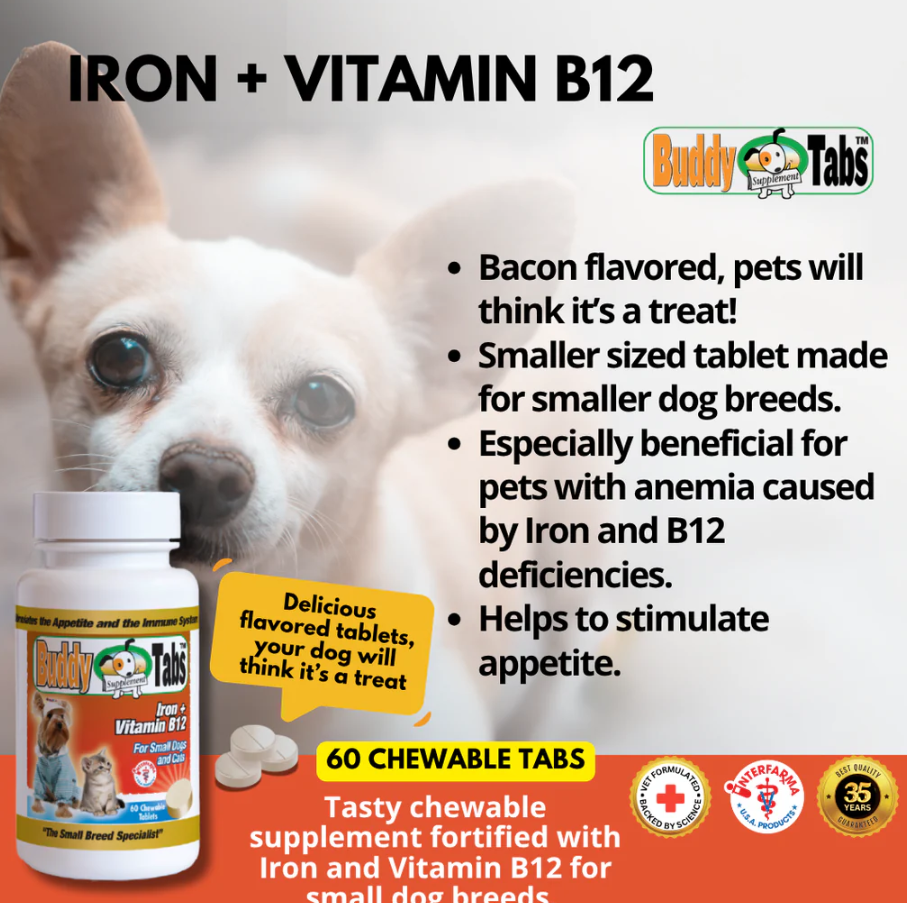 Buddy Tabs Iron + Vitamin B12 (60 Tabs)
