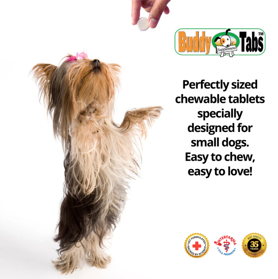 Buddy Tabs Iron + Vitamin B12 (60 Tabs)