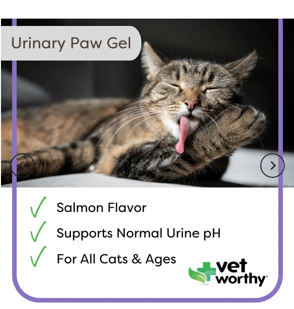 Vet Worthy Urinary Paw Gel for Cats - 3 oz