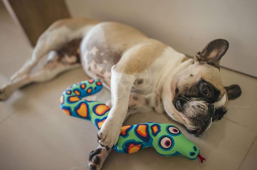 Snake, Fat Cat Incredible Strapping Yankers Dog Toy