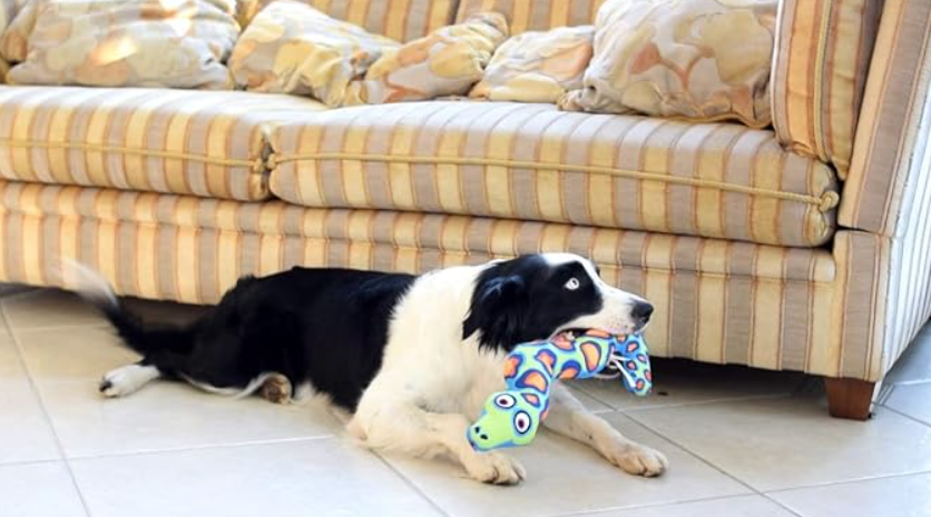 Snake, Fat Cat Incredible Strapping Yankers Dog Toy