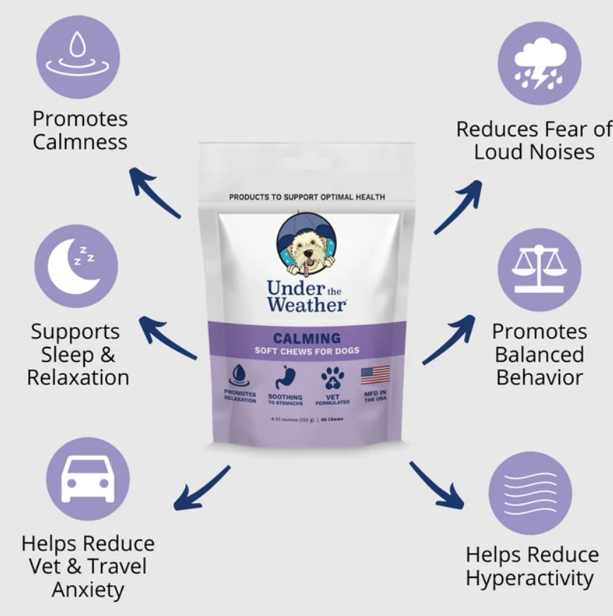Calming Soft Chews For Dogs Under the Weather