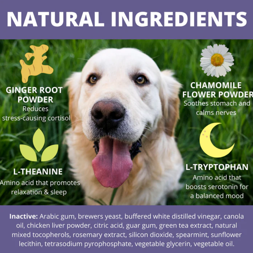 Calming Soft Chews For Dogs Under the Weather