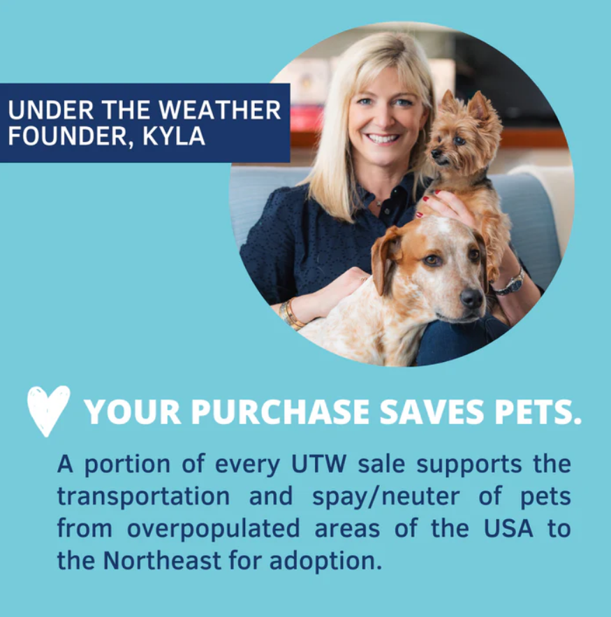 Calming Soft Chews For Dogs Under the Weather